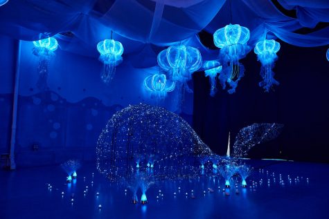 Ocean Cube Exhibit Attracts Thousands