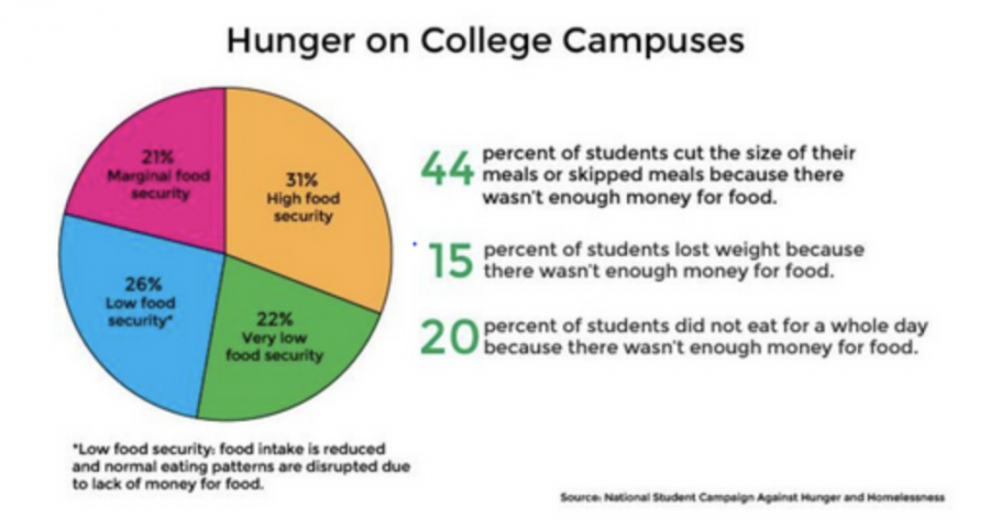 The Monitor | NYC College Students Are Struggling With Food Insecurity