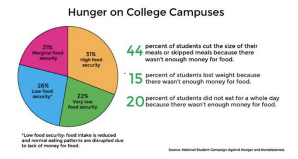 the-monitor-nyc-college-students-are-struggling-with-food-insecurity