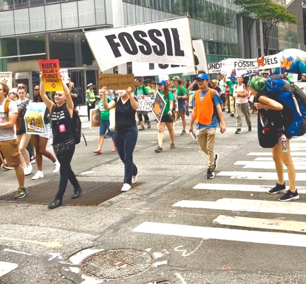Climate March brings people from diverse communities to NYC